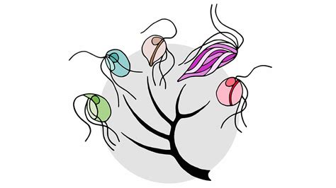  Echinostelium:  A Protist Party Animal That Thrives on Microbial Mayhem!